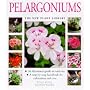 Pelargoniums: A Step-by-step Handbook for Cultivation and Care (New Plant Library)