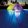 Ocean Art Jellies by Swimways - Colors May Vary