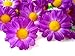 (24) Silk Violet Gerbera Daisy Flower Heads , Gerber Daisies - 1.75