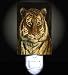 Jungle Tiger Decorative Night Light