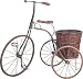 AFD Lg Iron Tricycle with Round Basket