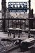 Smoldering City: Chicagoans and the Great Fire, 1871-1874 (Historical Studies of Urban America)