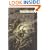 The Thousand Orcs (Forgotten Realms:  The Hunter's Blades Trilogy, Book 1)