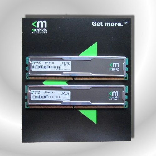 Mushkin D2 8GB 800-555 Silver Arbeitsspeicher 8GB (800 MHz, 240-Polig, 2x 4GB) DDR2 RAM