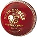 Gray-Nicolls Test Special 5.5 Ounce Cricket ball