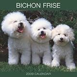 Bichon Frise 2009 PLATO Square Wall Calendar