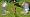 Xbox LIVE Vision  Camera with Xbox LIVE Gold 12-Month Membership Card (Xbox 360)