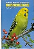Budgerigars