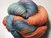 Lorna's Laces Turtle Rodeo 810 Solemate with Outlast Temperature Control Sock Yarn