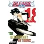 Bleach, Tome 18 : The Deathberry Returns