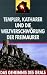 Das Geheimnis des Grals 2 - Templer, Katharer und die Weltverschwörung der Freimaurer