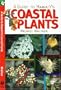 A Guide to Hawaii's Coastal Plants
