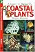 Book A Guide to Hawaii's Coastal Plants
