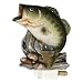 5111N e50bL. SL75  Largemouth Bass Fishing