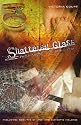 Shattered Glass: From Victim to Survivor: Including God, the Church and Domestic Violence
