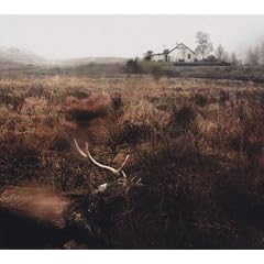 Feels,Feathers,Bog&Bees