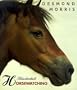Illustrated Horsewatching