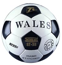 Tachikara ST-5S FIFA Inspected and NFHS Approved "Wales" Interscholastic Game Soccer Ball (Size 5)