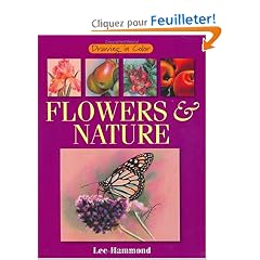 Flowers & Nature