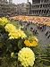 Flower Carpet, Grand Place, Brussels, Belgium Travel Photographic Poster Print by Neil Emmerson, 30x40