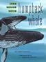The Birth of a Humpback Whale