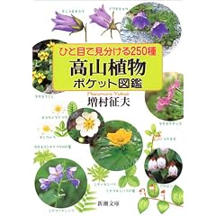 �ЂƖڂŌ�������250�� ���R�A���|�P�b�g�}�� (�V������)
