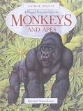 A Visual Introduction to Monkeys (Animal Watch)
