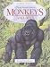 A Visual Introduction to Monkeys (Animal Watch)