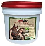 TOP HORSE Horse Supplements - Complete Natural - Organic Equine Supplements for your Performance Horse (Intense Training) All in 1 horse care with herbs - plant based nutrition