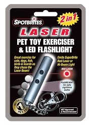 2IN1 LASER PET TOY EXERCISER