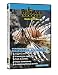 SALTWATER FISH AQUARIUM DVD! Set-up, Aquascape & Maintenance