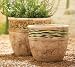 Set of 2 Planters with Animal Print Design
