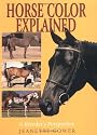 Horse Color Explained: A Breeder's Perspective