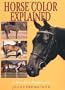 Horse Color Explained: A Breeder's Perspective