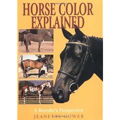 Horse Color Explained: A Breeder's Perspective