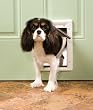 PetSafe Plastic Pet Door - Small