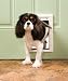 PetSafe Plastic Pet Door - Small