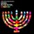 Erran Baron Cohen Presents: Songs In The Key Of Hanukkah