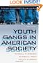 Youth Gangs in American Society (Contemporary Issues in Crime and Justice Series)