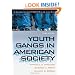 Youth Gangs in American Society (Contemporary Issues in Crime and Justice Series)