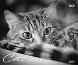 Katzen / Cats 2009. PhotoArt Kalender