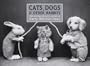 Cats, Dogs & Other Rabbits: The Extraordinary World of Harry Whittier Frees