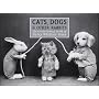 Cats, Dogs & Other Rabbits: The Extraordinary World of Harry Whittier Frees