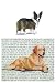 Welsh Corgi Cardigan Glass Cutting Board