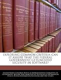 EXPLORING COMMON CRITERIA: CAN IT ASSURE THAT THE FEDERAL GOVERNMENT GETS NEEDED SECURITY IN SOFTWARE?