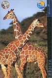Travellers Kenya (Travellers - Thomas Cook)