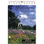 Lone Star Field Guide to Wildflowers, Trees, and Shrubs of Texas, Revised Edition (Lone Star Field Guides)