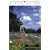 Lone Star Field Guide to Wildflowers, Trees, and Shrubs of Texas, Revised Edition (Lone Star Field Guides)