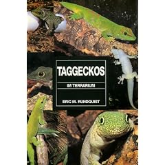 Taggeckos im Terrarium