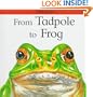 From Tadpole to Frog (Lifecycles)